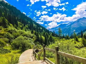 教师节献礼！阿坝州景区推出“谢师免费游”特别优惠