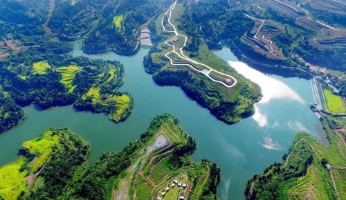 白鹭翩翩，智慧生辉 走进中国美丽休闲乡村岳池白庙镇郑家村