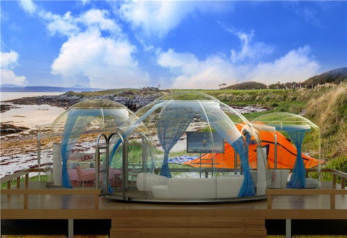 网红360度全景视野星空屋 中惠旅智能旅游的下一个爆点